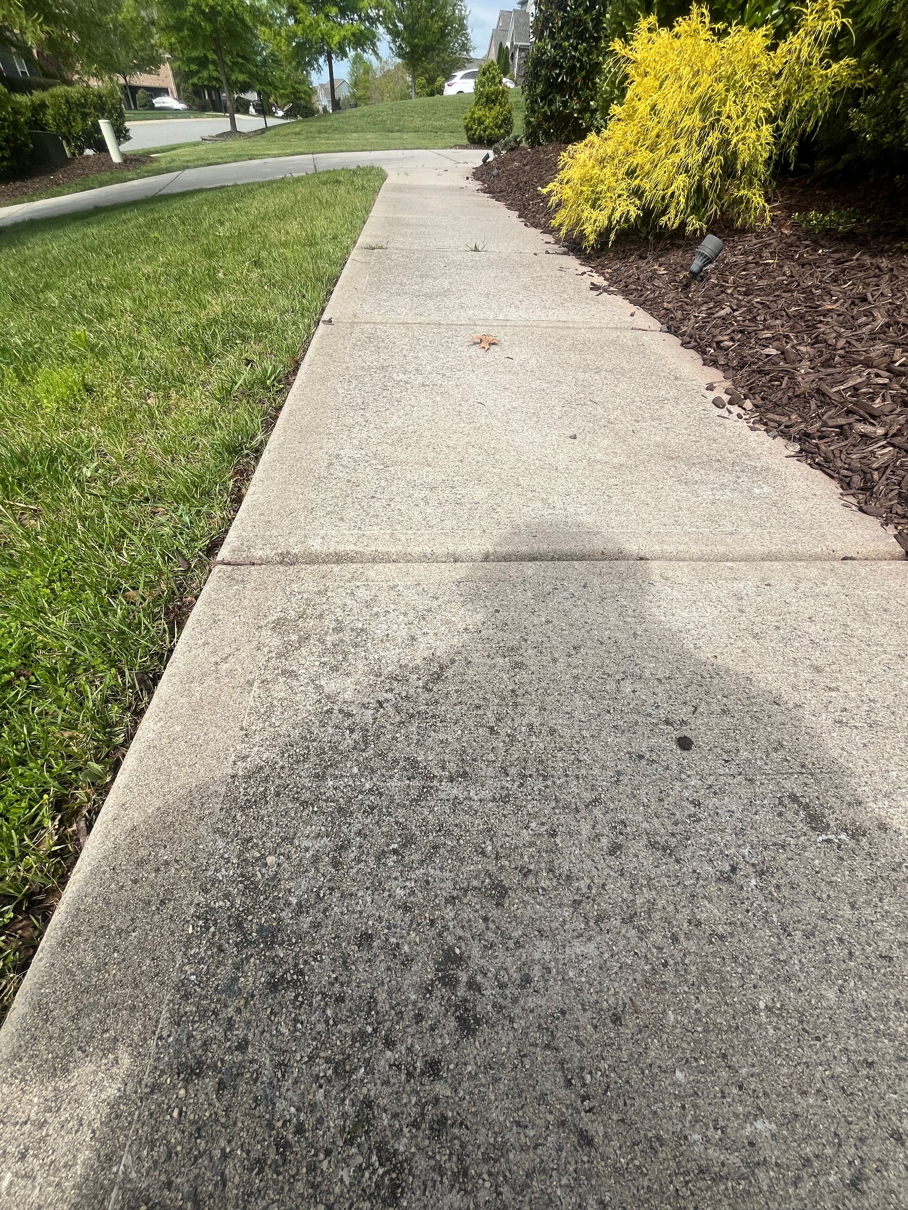 Sidewalk leading to a yard with greenery and a bush, shadow visible on the pavement.